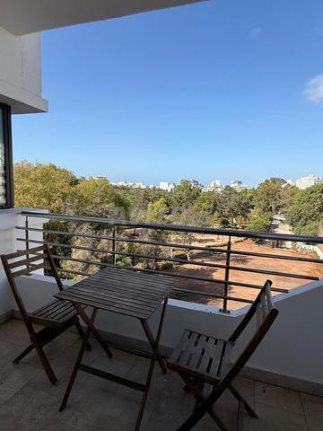 Appartement meublé vue sur le parc sur gauthier - 2