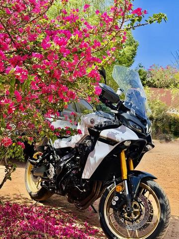 TRACER 900 GT (ÉDITION SPÉCIALE) - 2