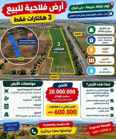 Terrain agricole et d'investissement à vendre au bord de la route