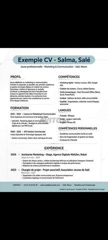 CV Professionnel ATS - 2