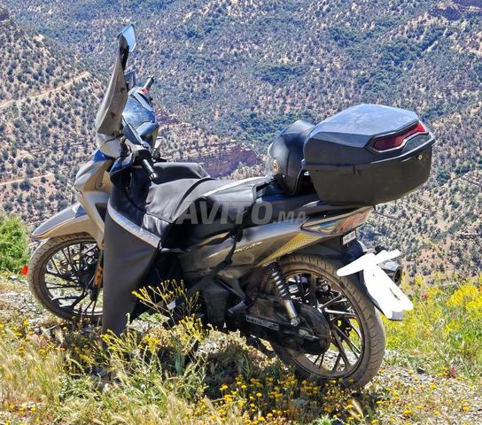 Moto Reef à vendre