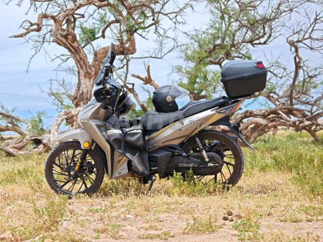Moto Reef à vendre - 2