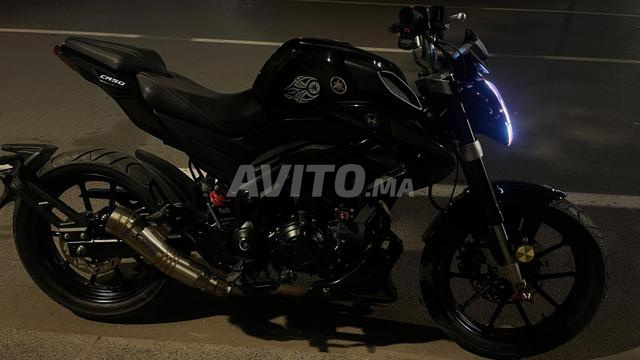 Moto CR 50 2025