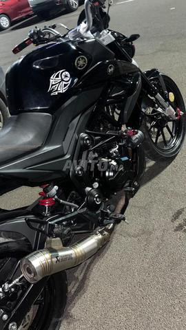 Moto CR 50 2025 - 2