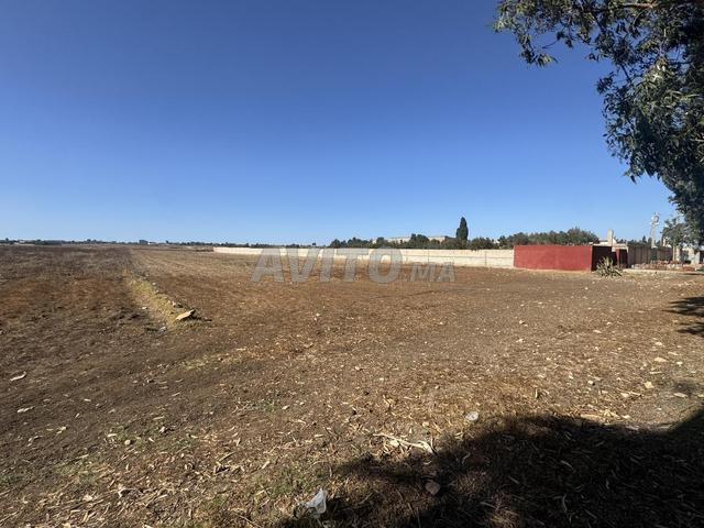 Vente lot de terrain 6000m2 - 2
