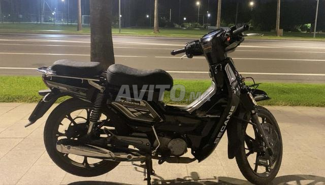 Moto neuve modèle 2025
