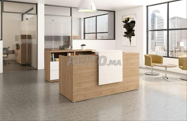 COMPTOIR ACCUEIL PROFESSIONNEL – CASABLANCA - 2