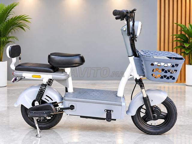 Cyclomoteur électrique FALCON RIDE - 2