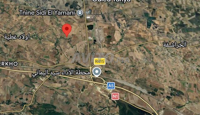 Terrain agricole à vendre Tnine Sidi El Yamani, environs de Tanger. - 2