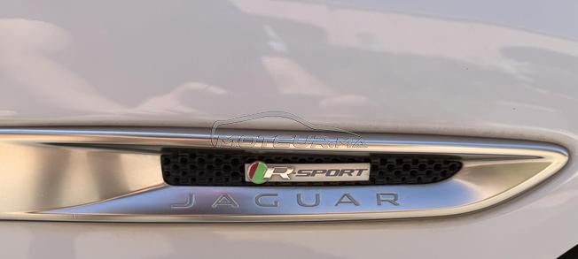 Jaguar Xe Rsport