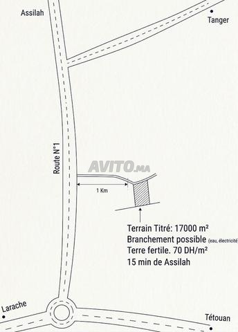 Bon Terrain pour ferme et investissement - 2