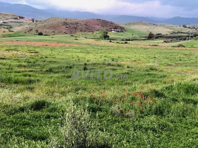 أرض فلاحية للبيع في نواحي خنيفرة