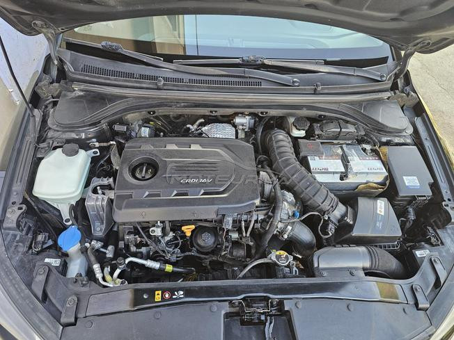 Hyundai Elantra Diesel Manuelle 2019 à Tifelt