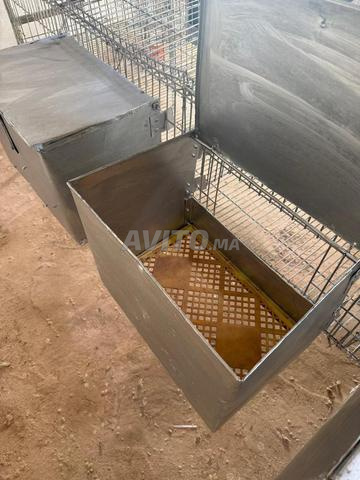 Nids pour cages lapins - 2