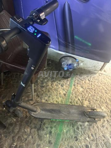 Trottinette NxRider - 2