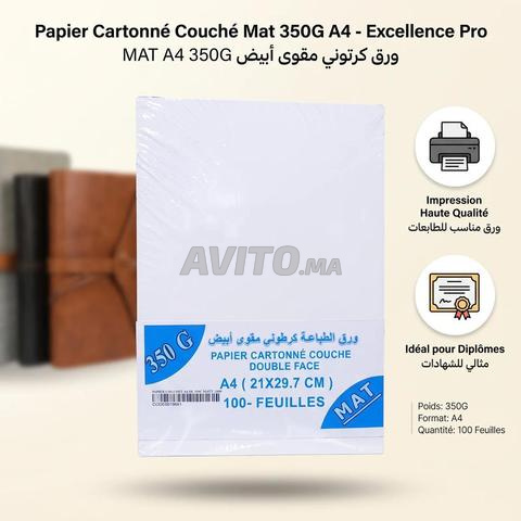 Papier Cartonné Couché Mat 350g A4 100F