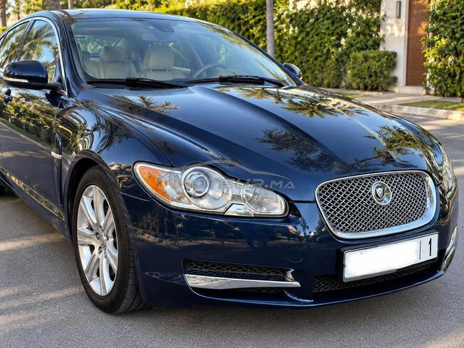 Jaguar XF 2011 - Élégance, confort & caractère