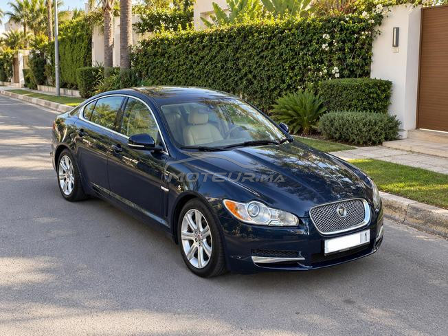 Jaguar XF 2011 - Élégance, confort & caractère