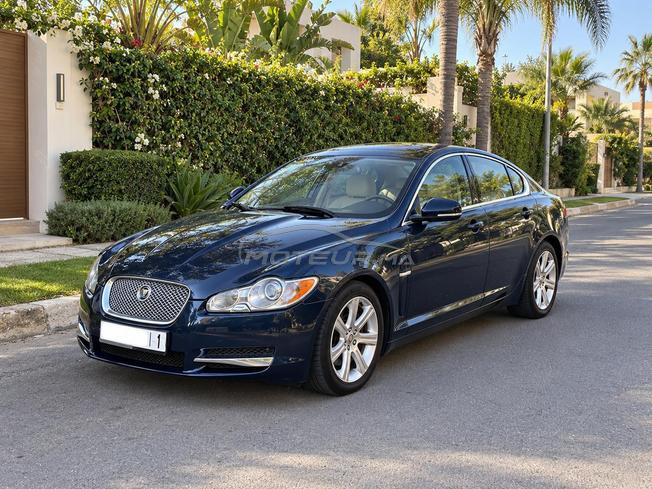 Jaguar XF 2011 - Élégance, confort & caractère