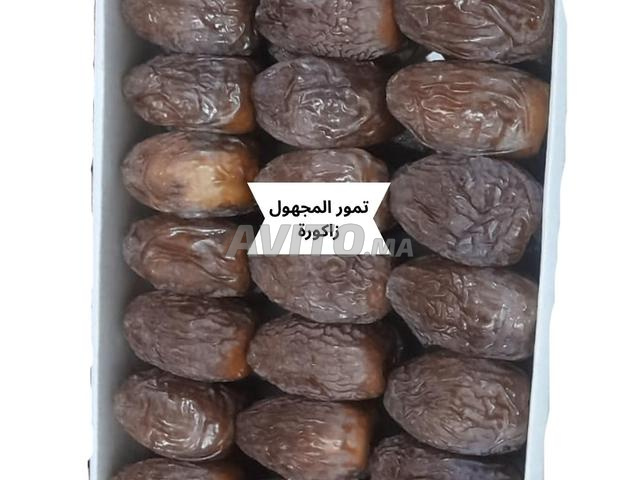تمور نوع المجهول - 2