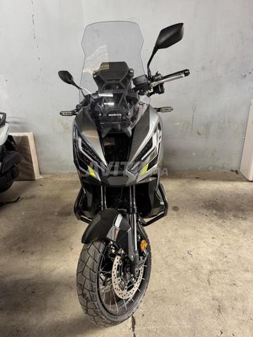 Xadv 750 modèle 2024