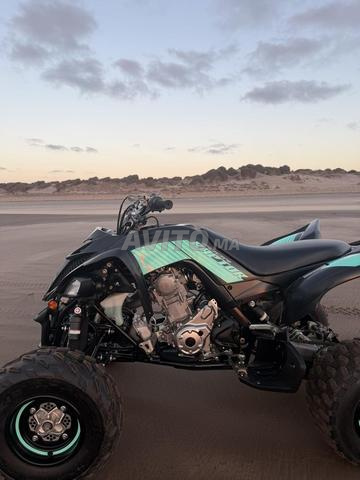 Raptor 700 Tiffany - 2