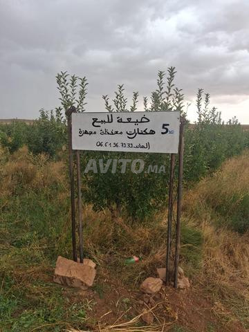 مزرعة للبيع