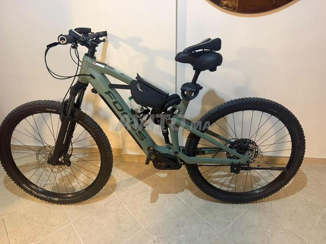 Vélo électrique Focus - 2