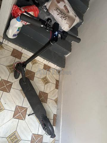 شيه حج مرحبا  تواصل معي إذا كنت مهتماً. - 2