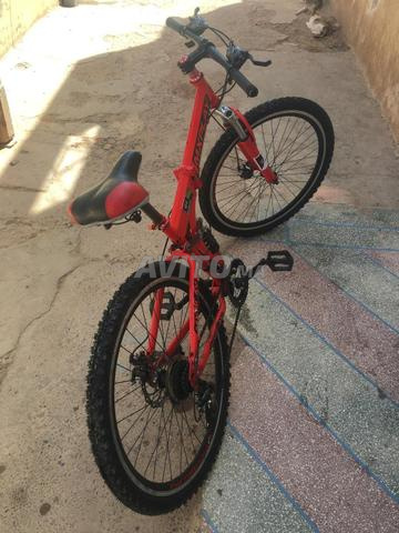 باقة نقية - 2