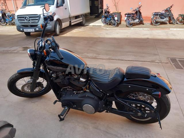 HARLEY DAVIDSON STREET BOB - 2