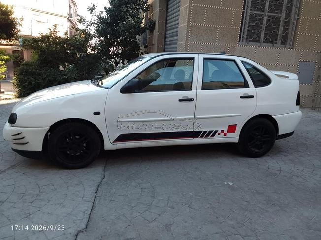 golf polo mazot