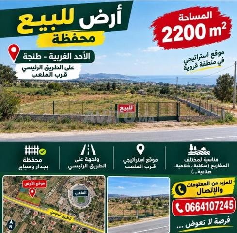 2200 m2 Hade Gharbiya