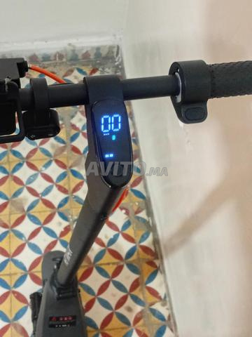 فاس سيدي بوجيدة