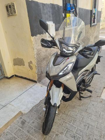 Moto Spring 2025 - 2