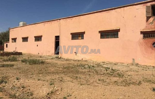 2 hectares ou 5000m² titrés - 2
