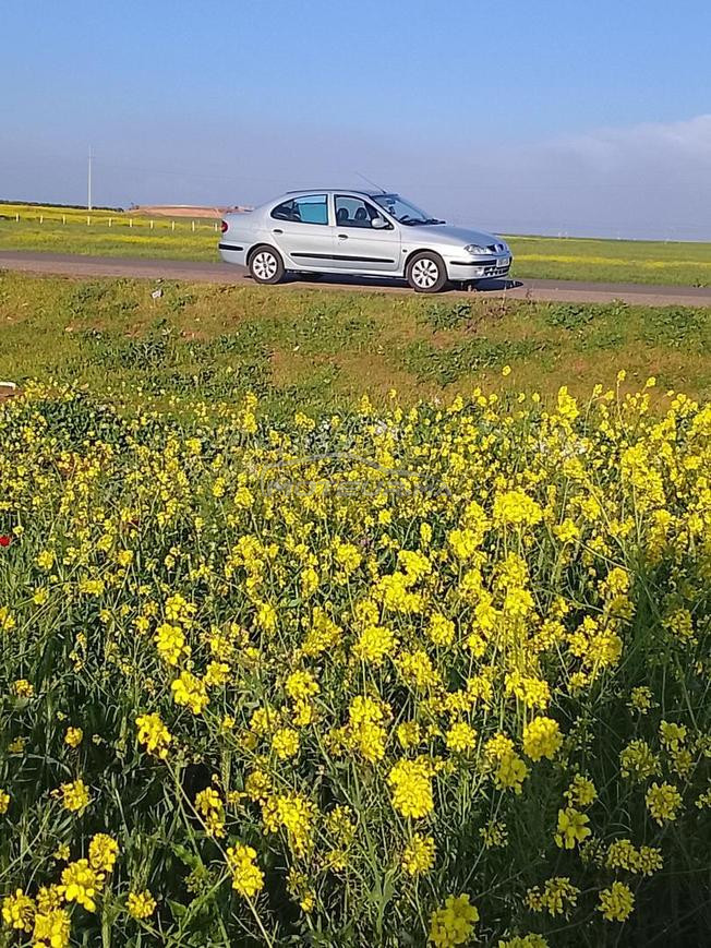 سيارة جيدة ممتازة تمن 5800