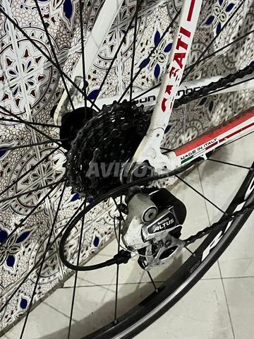 Vélo de course jihadiste - 2