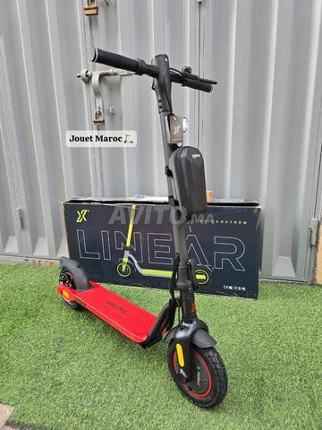 Trottinette Ecoxtrem - 2