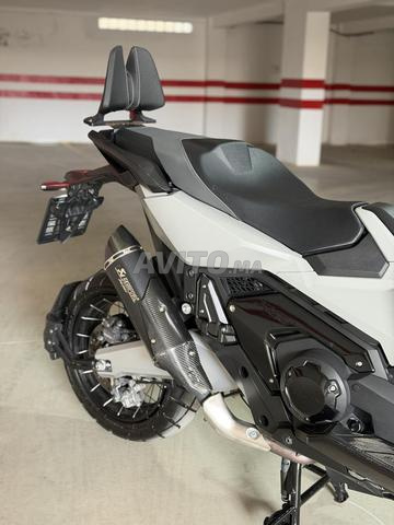 هوندا X-adv 750 2025 - 2