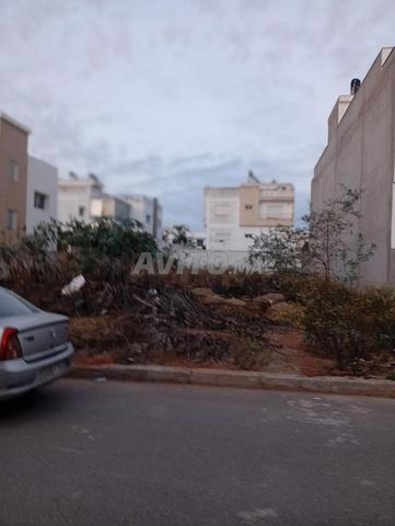 قطع أرض رائعة الحدادة القنيطرة - 2