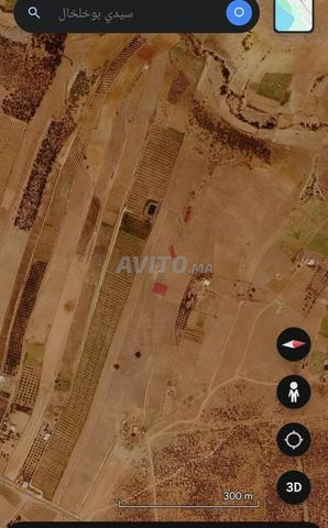 Terrain agricole 1 hectare 29 ares 20 centiares à Boukhalkhal Tiflet