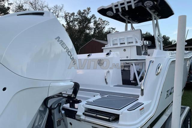 Blackfin 252CC Neuf 2027