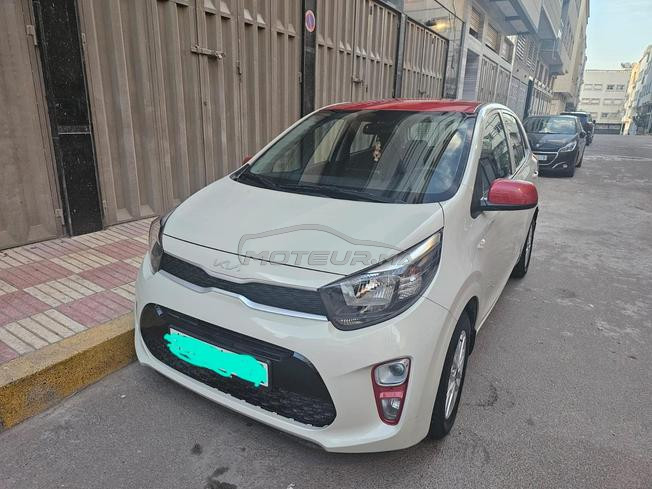 Kia picanto lifestyle 