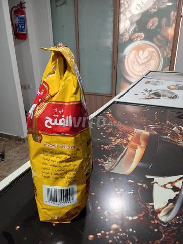 Graines de café Alfath - 2