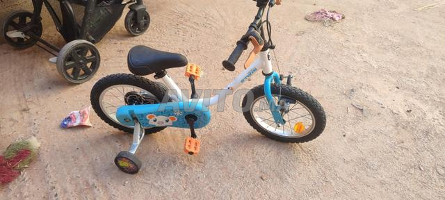 بتوين 14 بحالة جديدة - 2