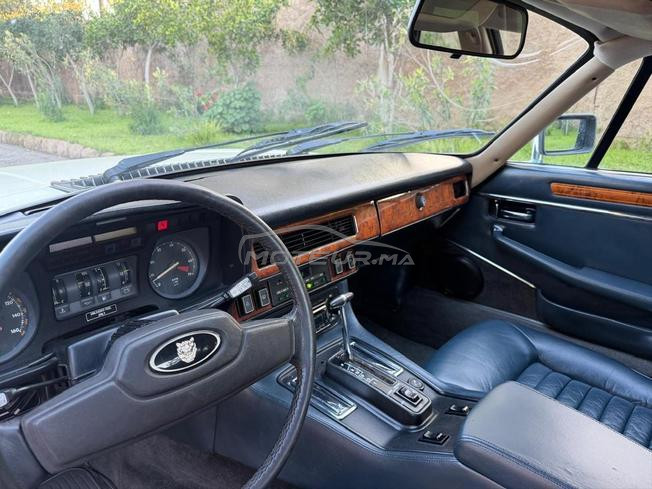Jaguar  xjsc v12 targa
