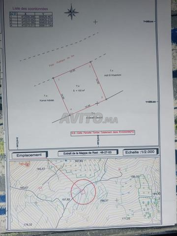 Ain Mellah - 2