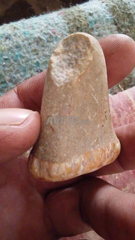 الصويرة موگادور