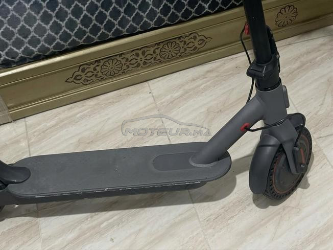طنجة تمن مناسب لي بغها يتوصل معيا